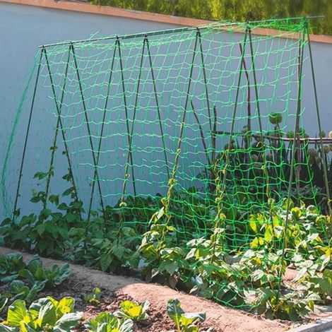 Filet de treillis robuste en nylon pour plantes grimpantes d'extérieur (1,8 x 2,7 m) - Outil manuel (1/4)