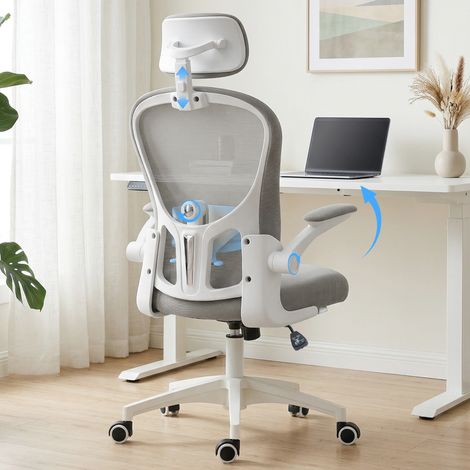 Multi-Adjustable Office Chair, with Lumbar Support, Headrest and Mesh Back - Grey (1/5)