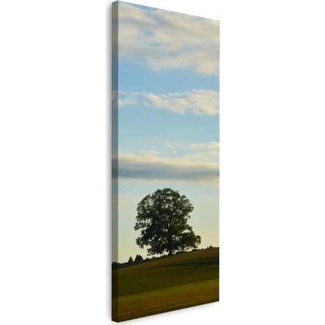 Lienzo impreso Naturaleza Árbol en un campo 40x120 cm Cielo Pradera Nubes