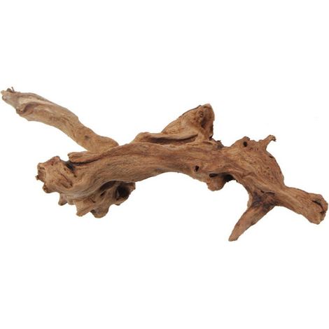 Racine de Bois Flotté Naturel pour Aquarium et Terrarium Décoration Aquascaping Bois de Mopani pour Poissons Reptiles et Amphibiens
