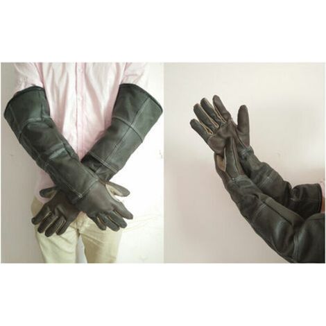 Gants de jardinage en cuir de vache – Résistants aux morsures et rayures – Doublure coton pour confort – Protection lors de la manipulation d'animaux – Groupm (1/5)