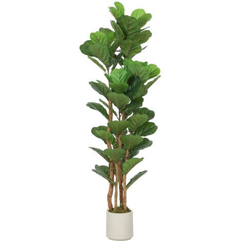 Figuier lyre artificiel, plante artificielle, 71 feuilles, tronc en bois massif, en pot, 50 x 50 x 150 cm, vert. Ce prod