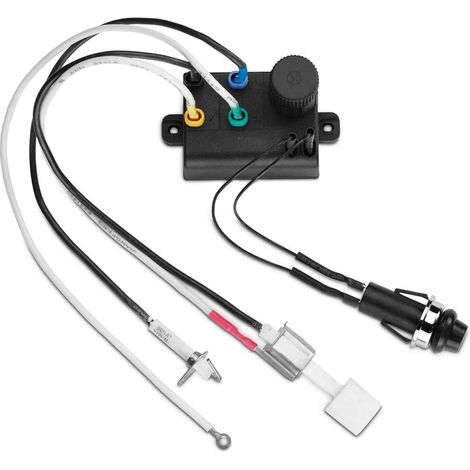 Weber – Kit piézoélectronique pour barbecue Spirit 220 et 320 – Compatible avec réchaud – Électrode incluse – Installation facile