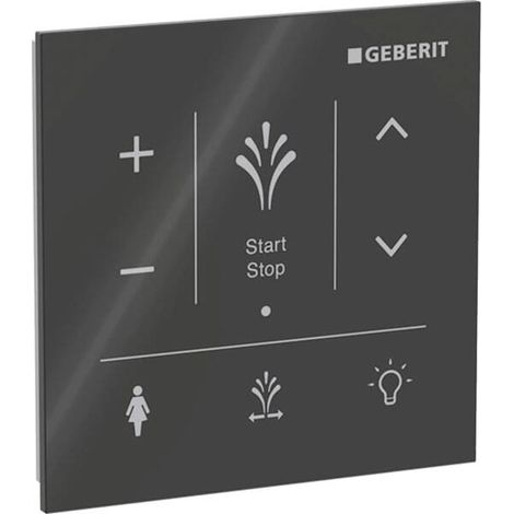 Panel de control mural Geberit para AquaClean Sela, 147.041.SJ.1