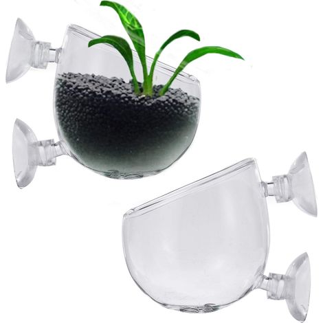 Support Verre Pour Plantes Aquatiques - Ventouse Double - Fixation Murale Aquarium - Lot de 3 (1/5)