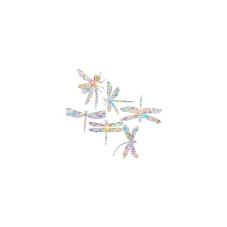6 pièces Stickers Fenêtre Anti-collision Oiseaux Décoratifs Arc-ciel Effet Statique Non Adhésif Réutilisable pour Portes et Fenêtres 2pcs (1/4)