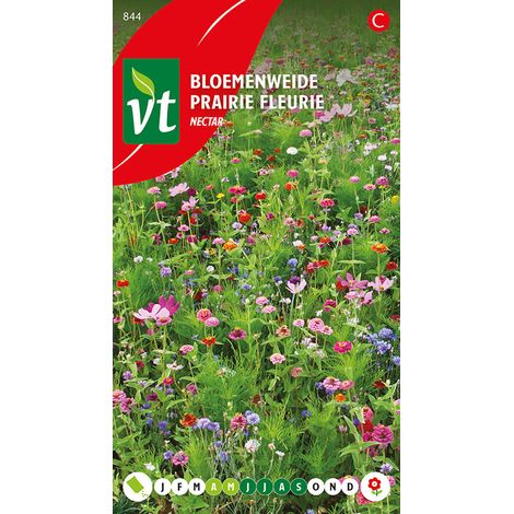 Espace Fleuri Nectar - Ca. 15 graines (Livraison Gratuite) (1/2)