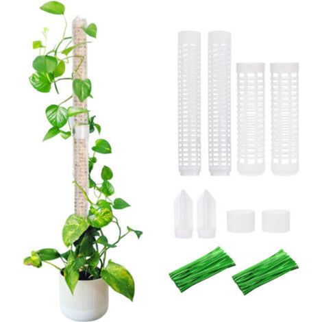 4pcs Climbing Plants Moss Poles Stackable Plastic Plants Hydromoss Column Pole Stand Up Rod Climbing Rattan Fixings Stand (1/5)