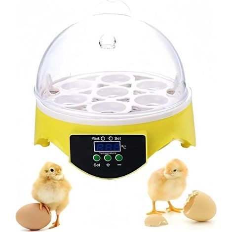 Semiautomatic Egg Incubators 7 Eggs Hatcher Digital Egg Incubator Automatic Temperature Control Egg Incubator Hatcher Machine (1/5)