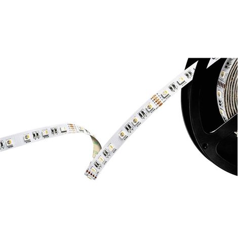 Barthelme 51542434 Striscia LED 24 V 5000 mm RGBW 5 m