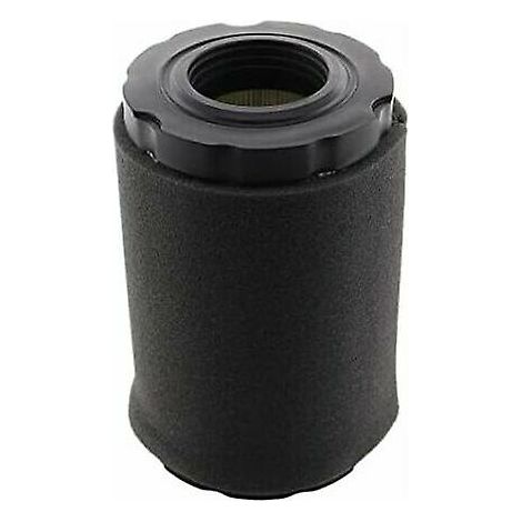 Filtre à air avec couvercle pour moteurs Briggs & Stratton 550E, 575EX, 575IS, 625EXI, 650EXI, 675EXI, remplace les références 594106, 798339, 798452, 59 (1/4)