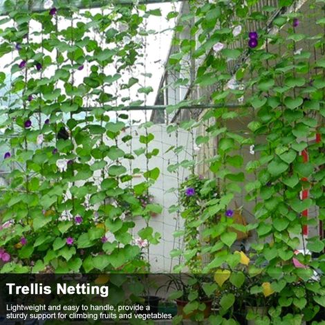 Malla de soporte para plantas trepadoras, hortalizas, frutas, vides y flores. (1/5)
