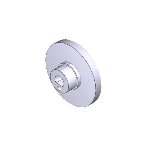 CAME 119RID273 Disco Freno Per Attuatore Amico Axo Ricambio (1/3)