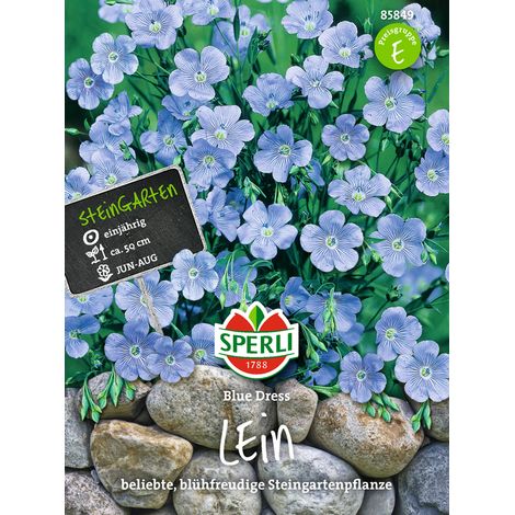 Sperli Prachtlein Blue Dress - Blumensamen (1/4)