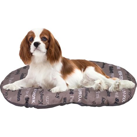 1 - Coussin pour Chien - Tapis pour Chat - Lavable en Machine avec Rembourrage Doux - Pour Niche et Voiture - Marron - 65x42cm (1/5)