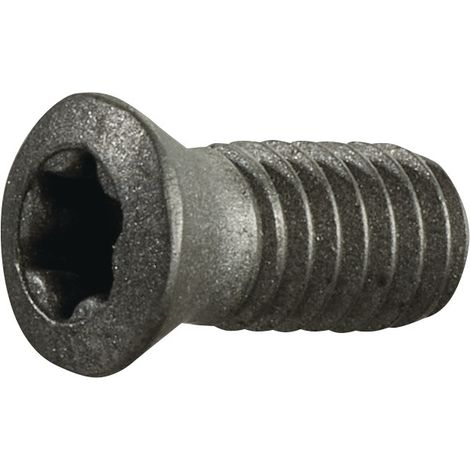 TECWERK Spannschraube Gr.T15 f.TCGX 1635 M4 Gewinde-L.9mm z.Fasenfräser TECWERK