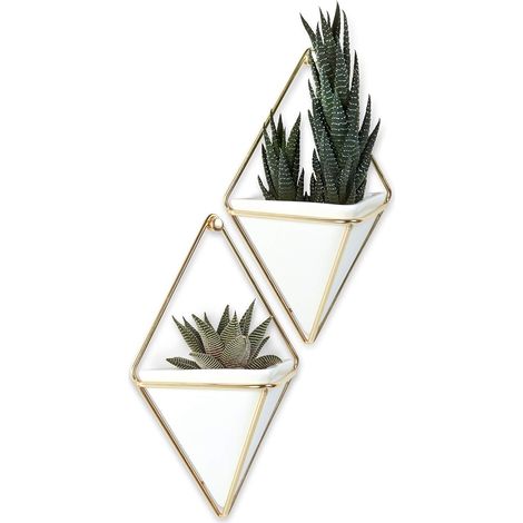 [JAMAIS UTILISÉ]Jardinière Suspendue et Décoration Murale Géométrique Pour Petite Plante, Plante Succulente et Bien Plus Encore, Blanc/Laiton, Lot de 2 (1/5)