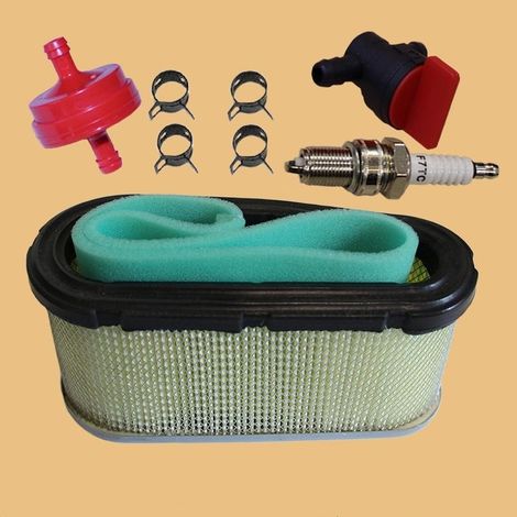 Briggs air filter kit 493909 496894S 272403S Air filter assembly (1/4)
