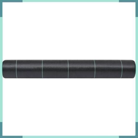 313060 Toile de paillage Noir 1x25 m PP (1/3)