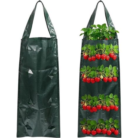 Set mit 2 Erdbeer-Pflanzbeuteln – 8 Löcher – leer – strapazierfähige Beutel – Hänge-Pflanzbeutel – mit Griffen – für Beetpflanzen, Kräuter und Blumen (1/5)