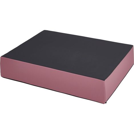 Jump Coussin sauteur 99 x 75 x 18 cm - rose - Matelas sauteur pour enfants à partir de 4 ans - Tapis de jeu Tapis de gymnastique Matelas pour sauter se défouler jouer à l'équilibre