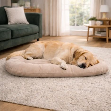 Coussin velvet antidérapant taupe 90x65 cm pour chien (1/5)