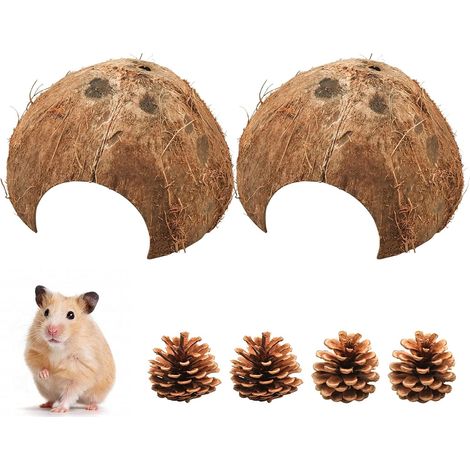 Demi-coques de noix de coco, coquilles de noix de coco comme lieu de reproduction et de cachette pour petits animaux, décoration d'aquarium pour petits animaux (ø 10-14 cm) (1/5)