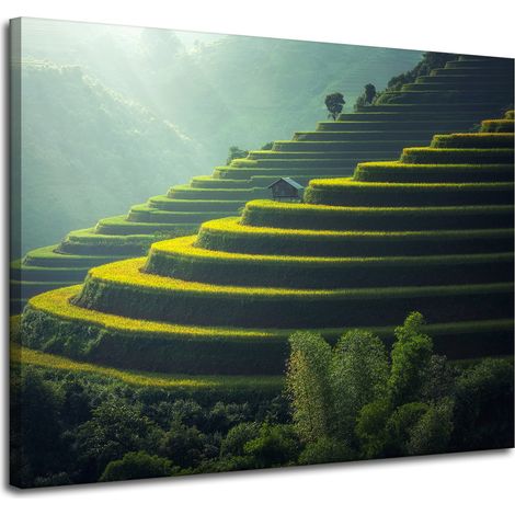 Leinwanddruck Natur Landschaft Landwirtschaft 100x80