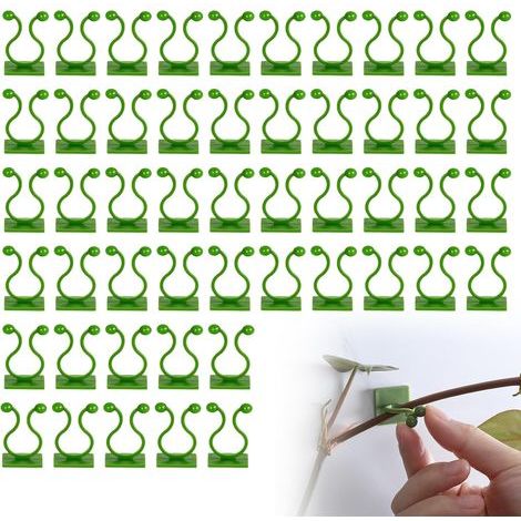 Pinzas para plantas trepadoras, pinzas para plantas trepadoras de pared, pinzas de soporte para plantas trepadoras, pinzas para fijar plantas, para enredaderas y hortalizas, 50 unidades (verdes) (1/5)