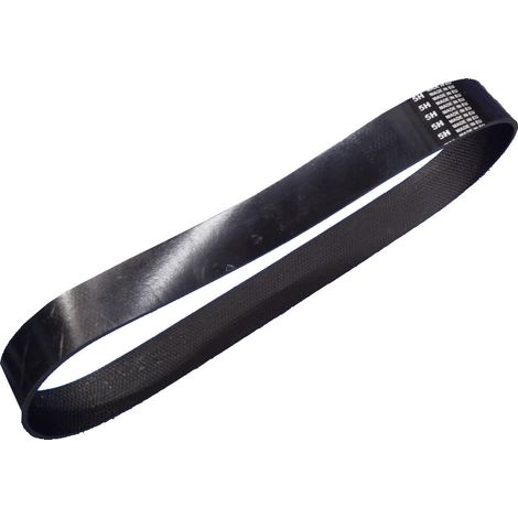 Courroie large de cireuse (largeur 30mm) (223204-44223) (102335007) Cireuse ELECTROLUX, DICAFF