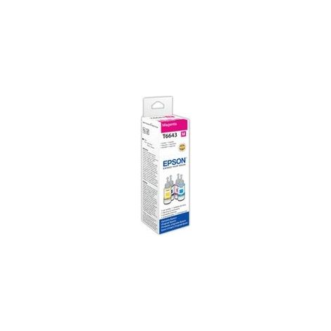 Cartucho de Tinta Original Epson C13T664340 Gris Magenta (1 unidad) (1/5)