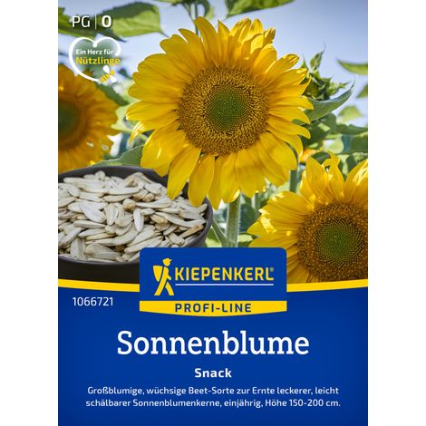 Kiepenkerl Profi-Line Blumensamen Sonnenblumen Snack für ca. 20 Pflanzen (1/2)