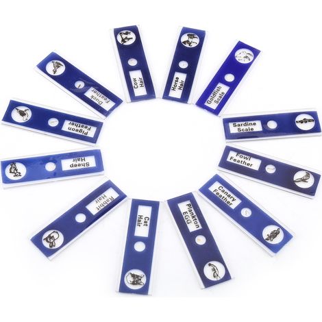 12 lames de microscope préparées en plastique, kit d'échantillons animaux insectes fleurs plantes, boîte bleue, lot de 12 pour observation éducative