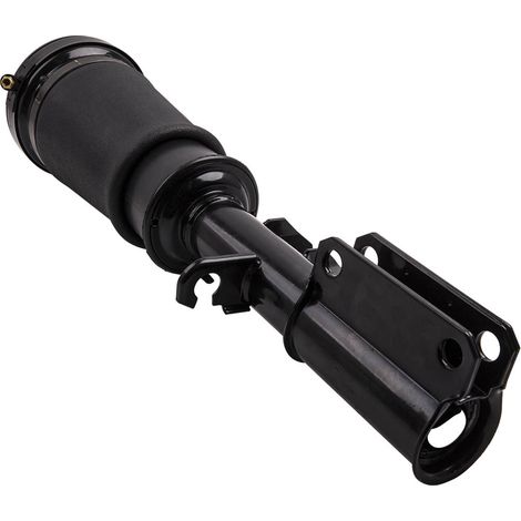 Anteriore destra Sospensioni Pneumatiche Aria Ammortizzatore for BMW X5 E53 2002 (1/5)