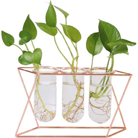Vase géométrique en verre avec support métallique pour plantes hydroponiques d'intérieur, idéal pour la décoration de la cuisine ou du bureau. (1/5)