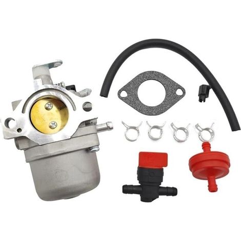 Kit carburateur compatible avec les modèles 5-4993, 799728, 498027, 499161, 498231, 494502, 494392, 495706, 498134, 496592, 699318 et 699737 (1/5)