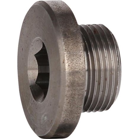 Vite di scarico olio M22 x 1,5 x 18 mm per DAF (1/2)
