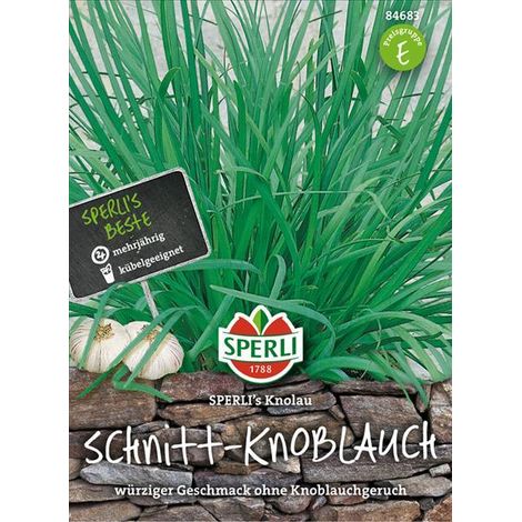 Schnitt-Knoblauch SPERLI's Knolau - Kräutersamen (1/4)