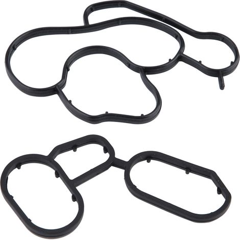 GARRYFIZH Moteurs et composants, 11427508971 11427508970 Joint torique de qualité supérieure, conforme aux normes d'origine, pour BMW X5 (1/5)