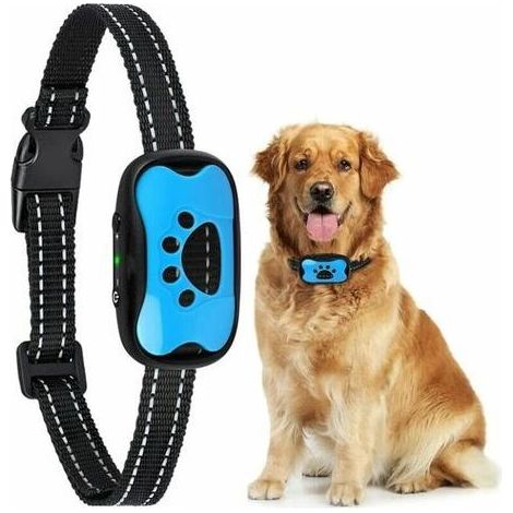 Antibellhalsband – Ton- und Vibrationseinstellungen – 7 Empfindlichkeitsstufen – Für mittelgroße Hunde – Blau (1/5)