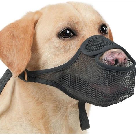 Museliere pour Chien,Muselière Chien Souple Réglable Nylon Empêche de Mâcher,Manger,Mordre Couvre Respirante (1/5)