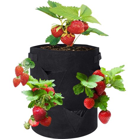 Bolsas cultivo fresas 10 galones (8 uds) Maceta vegetal transpirable con asas 14x18 pulgadas Para papas, fresas, frutas, verduras, flores Jardinería