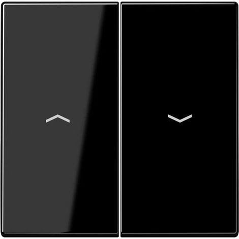Doppelschlüssel für Jalousieschalter oder Taster BLACK JUNG LS 995 P SW (1/2)