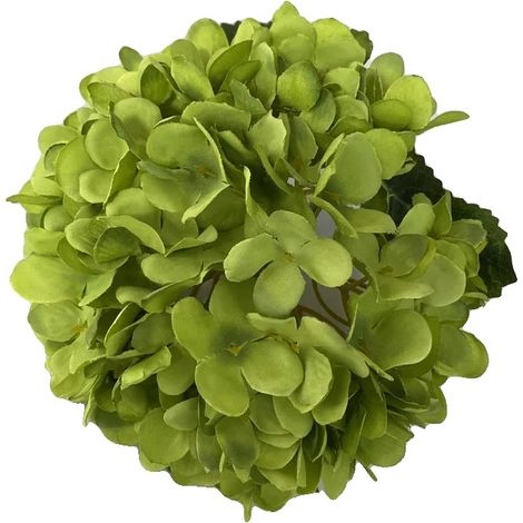 Bouquet di ortensie, design elegante, versatile per eventi, verde (1/2)
