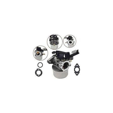 591137 Carburador de motor Briggs & Stratton 111p02 111p07 590948