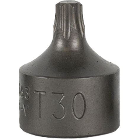 JBM16661 3/8" kurzer TORX-Bit, T25 (Art.-Nr. 54546)