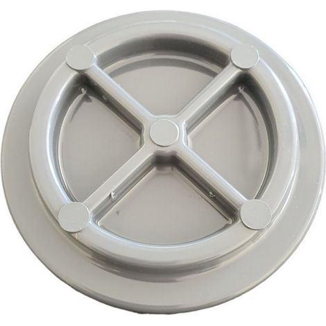 Bouchon de cellule pour électrolyseur de piscine Saline C - Gris - BSX1CAP2 - Hayward