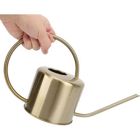Arrosoir en Acier Inoxydable, 1300 Ml/43 Oz Jardinage Plantes d'IntéRieur Pot D'Arrosage avec Long Bec pour Plantes Succulentes Plantes d'IntéRieur Jardinage DéCoration de Remise de Fleurs (1/5)