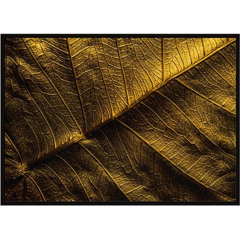 Bildplakat im Rahmen 53x73 cm Blattgold P1761 (1/3)