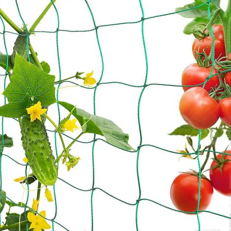 Filet de jardinage, filet pour plantes grimpantes, filet de récolte pour concombres, légumes et autres légumes (1,8 x 3,6 mètres) (1/5)